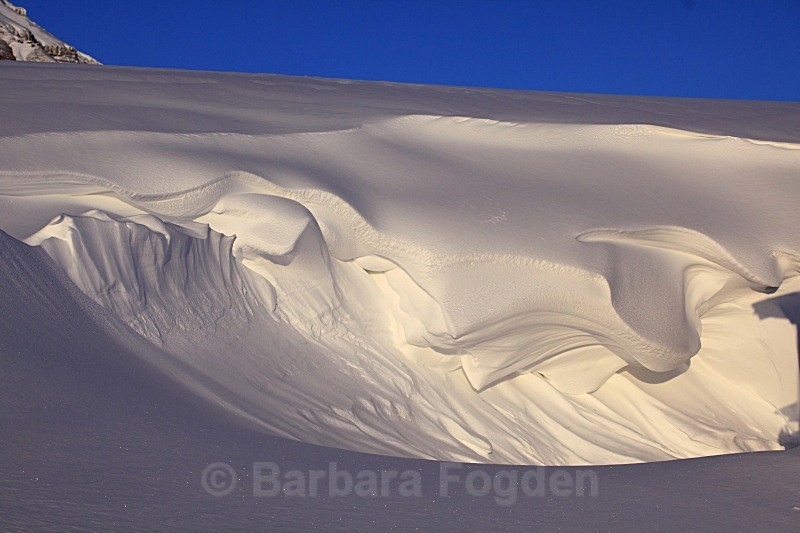 Snow drift 5582 - Winter in the daylight