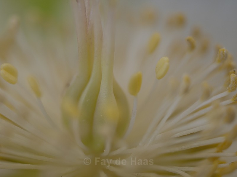  - Nature's Wonders