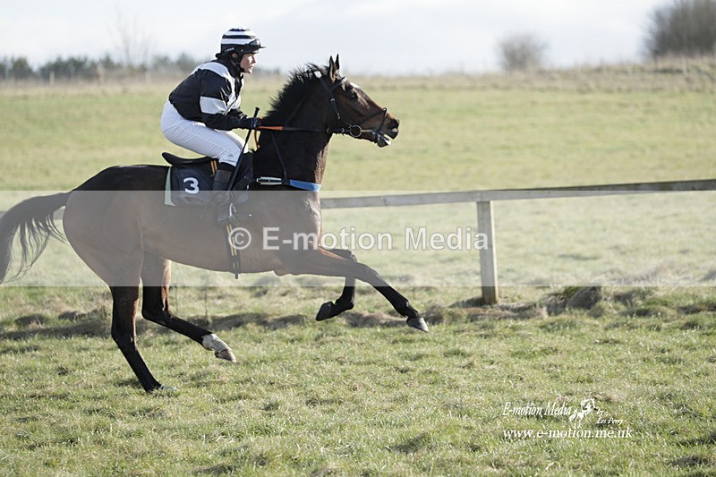PtP 260223 1131 - South & West Wilts Point-to-Point Larkhill 26/02/23