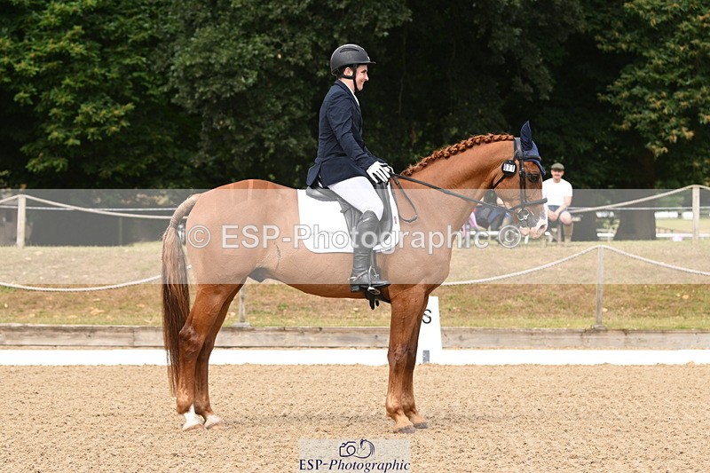 250720A-101645-09493 - 071-Jesse.Poyntz-Wright-Knockaderry.Jack