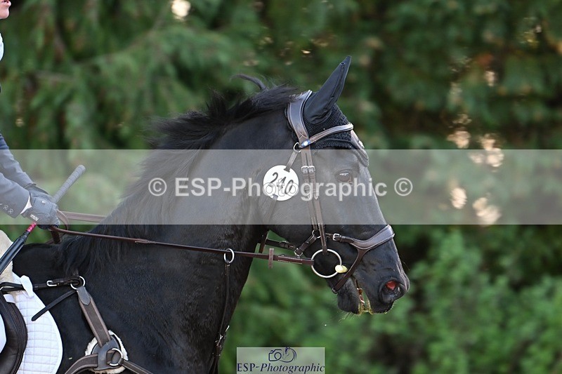 231022-100754-23222 - 240-ZEBEDEE.IX-Ashley.Harrison-SJ