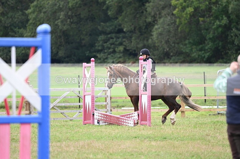 WJ6_0288 - 40cm Time 10:00 to 10:28
