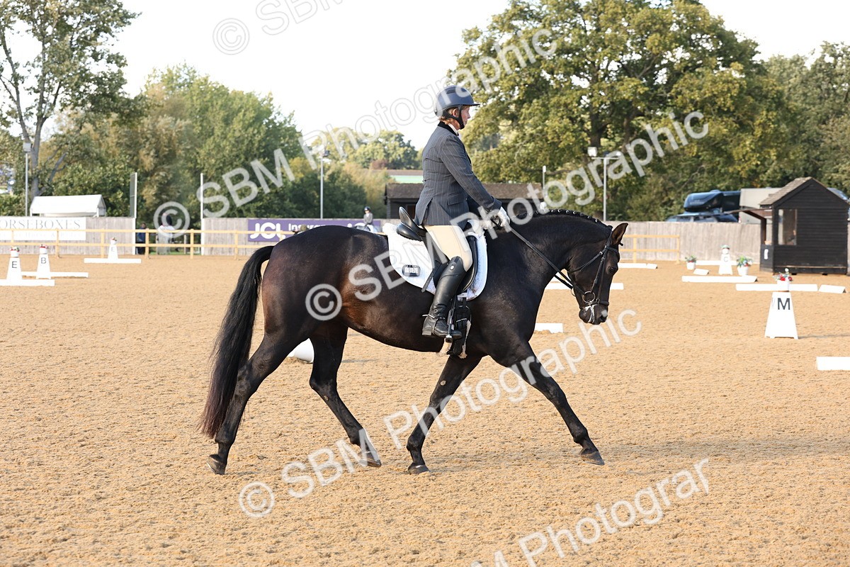 SBM_28251 - D20 - Grand Tour Championship Elementary 3