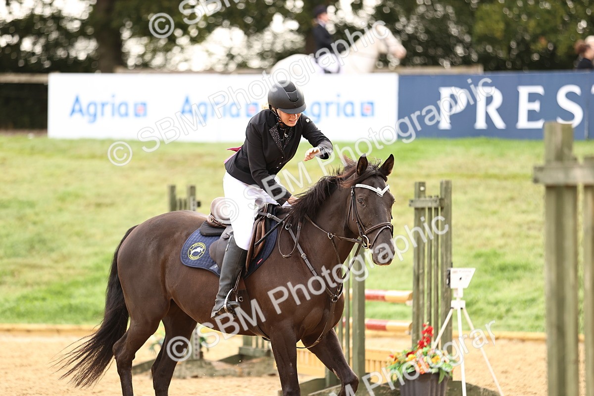 SBM_58488 - J41 - Grand Tour Horse & Pony 95cm