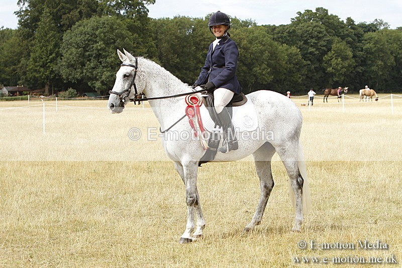 _BS_1027 - Working Hunter Championship BVRC Show 2018