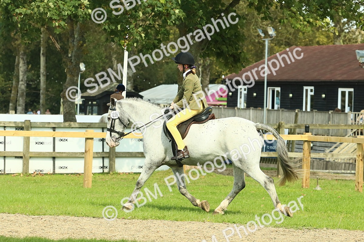 SBM_67547 - S56 - Coloured Pony Ridden