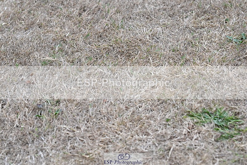 250820A-174919-12288 - Wednesday Presentations