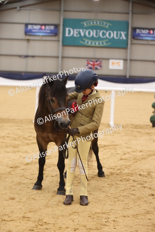 20260913-1145 - Class 110 - Bred In Other In Hand