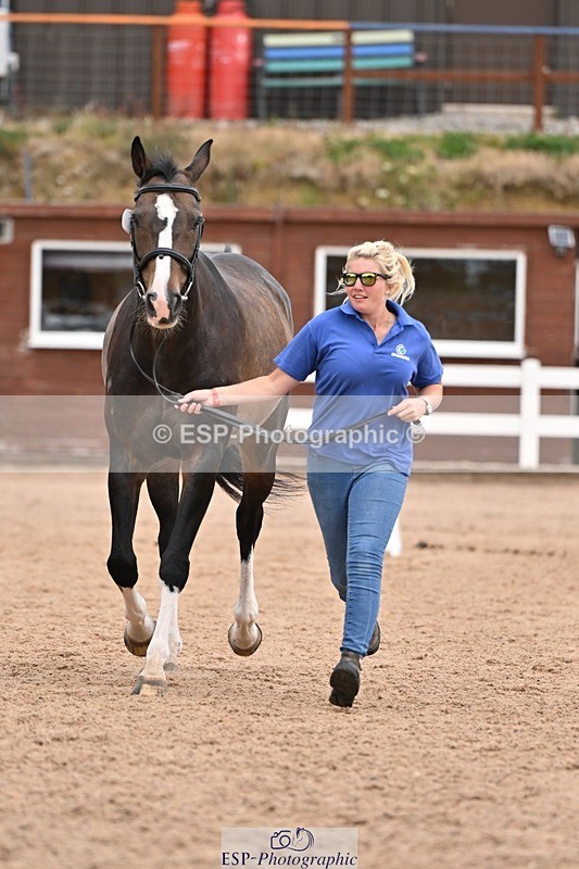 250716-155800-02300 - Trot Up 3.30 to 4.30