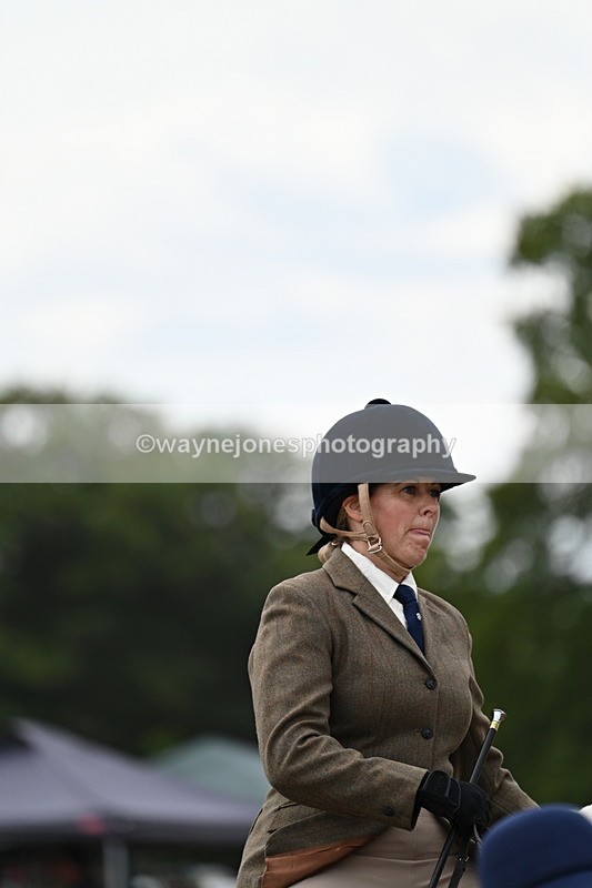 WJ7_5247 - Class 12 Ridden Cob