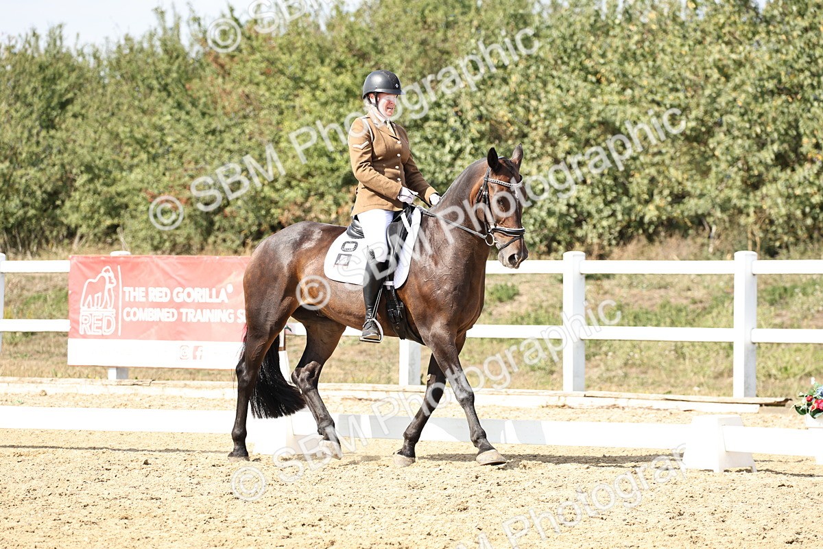 SBM_014906 - Class 7 - Medium 3