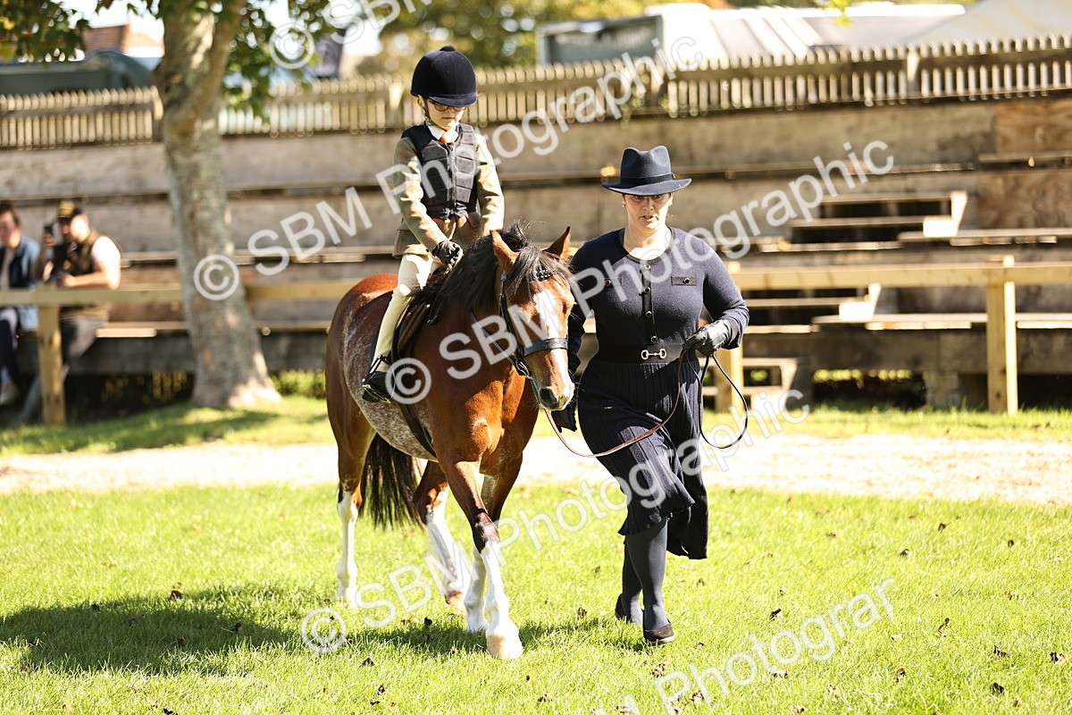 SBM_19282 - S3 - TSR Ridden Pony Showing