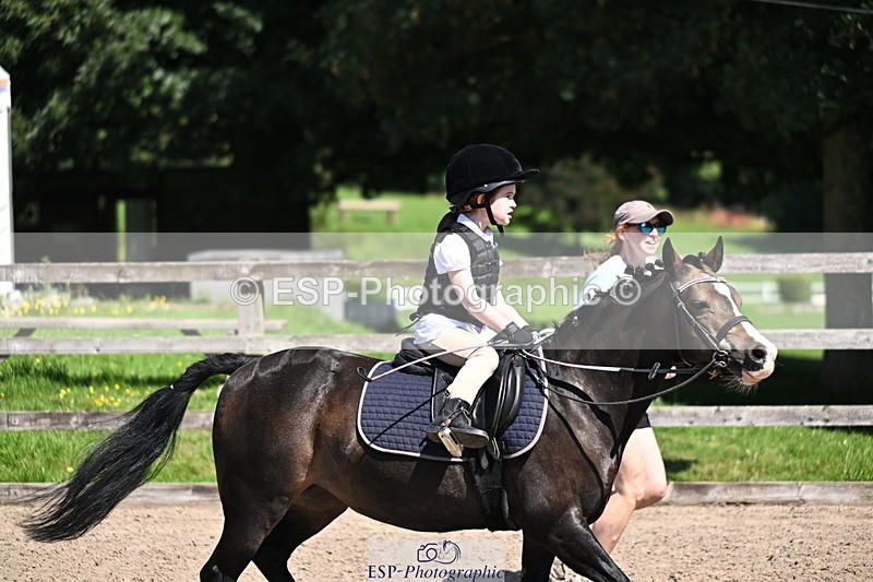 240729B-114037-02488 - Showjumping Competition