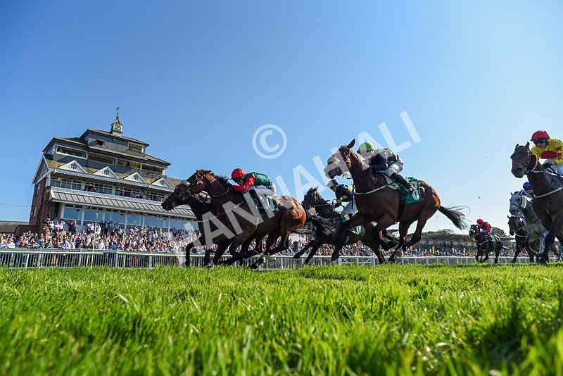 180524-Race 6-Diamondonthehill-Yorkshire-2-3 - Race 6