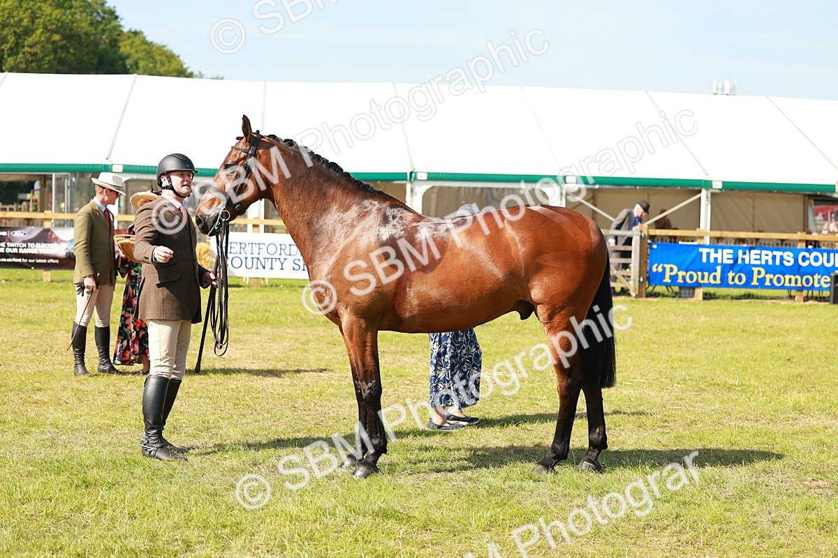 SBM_12073 - Class 66-69 - RIHS Ridden Hunters Inc Small Hunter
