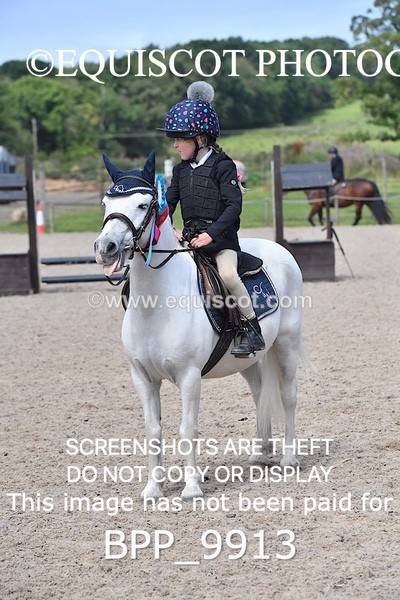 BPP_9913 - CLASS 3 Derby Show Jumping 40CM