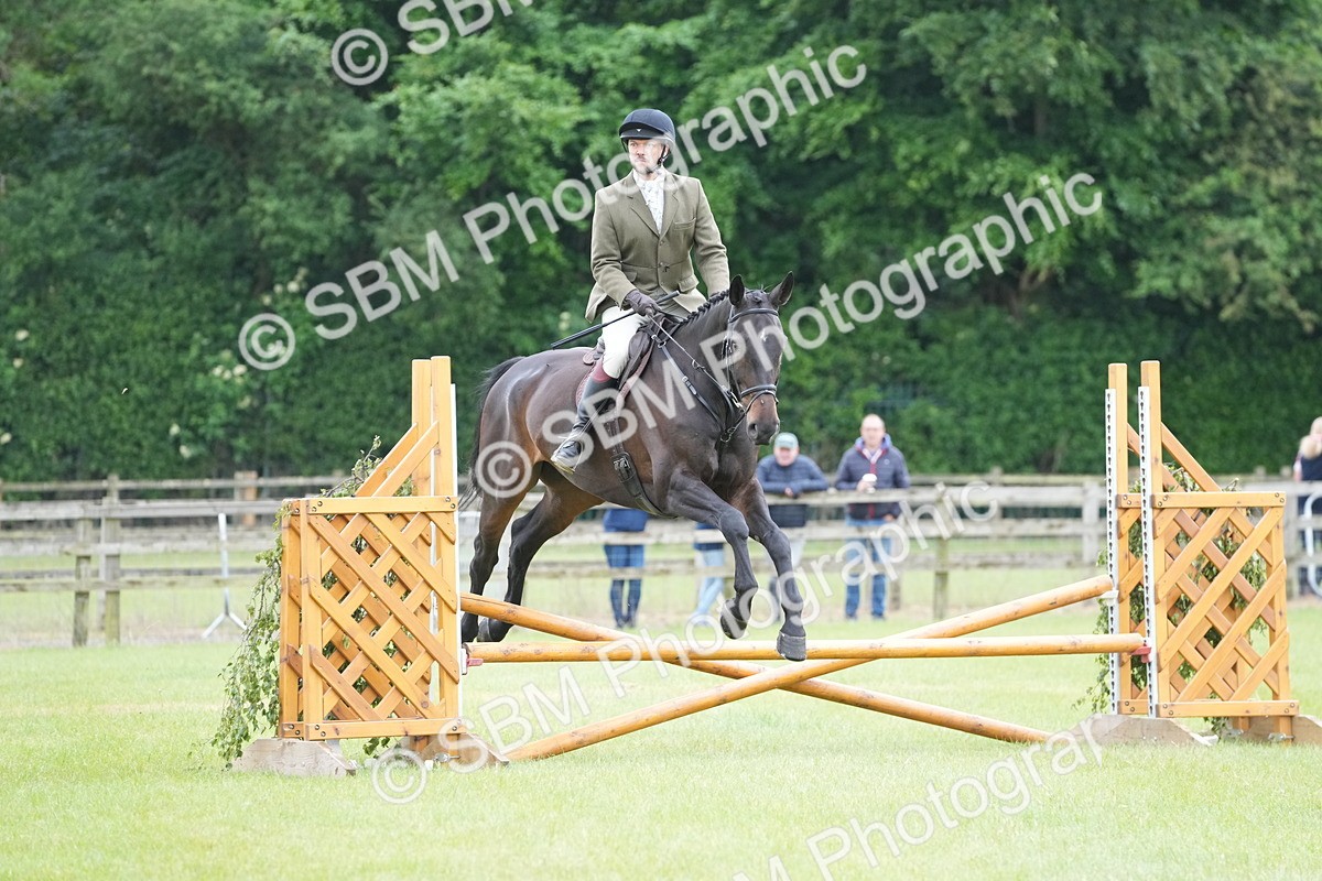 SBM_12535 - Class 97-98 - LIHS BSHA Rising Star Working Show Horse Hunter