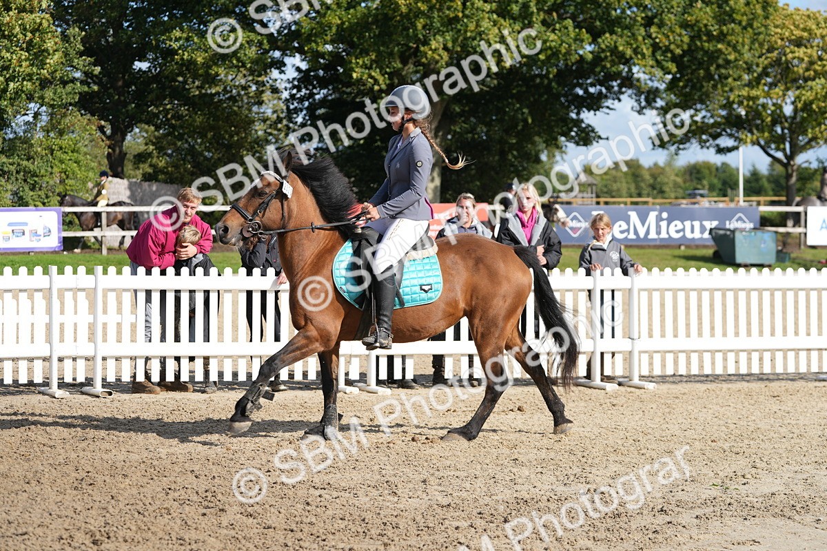 SBM_48643 - J7 - Junior Pony 60cm Championship
