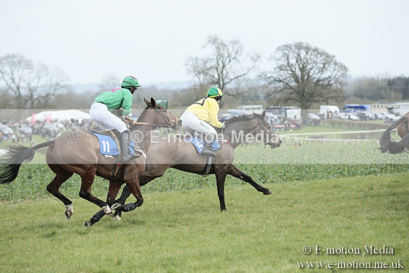 PtP 230319 170 - VWH Hunt Siddington Point-to-Point Racing 23/03/19