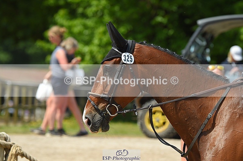 230528-122656-15706 - 325-LONESTAR-Thomas_Hawke-SUNTrotUp+SJ