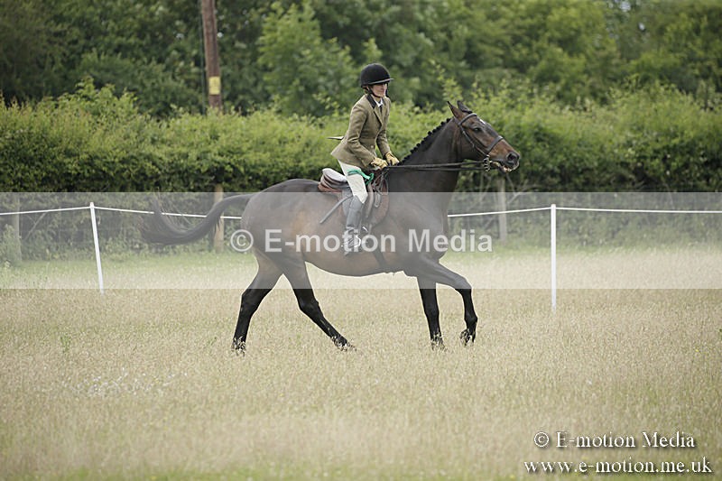 B230619-0809 - Bourne Valley Riding Club Summer Show 23/06/19