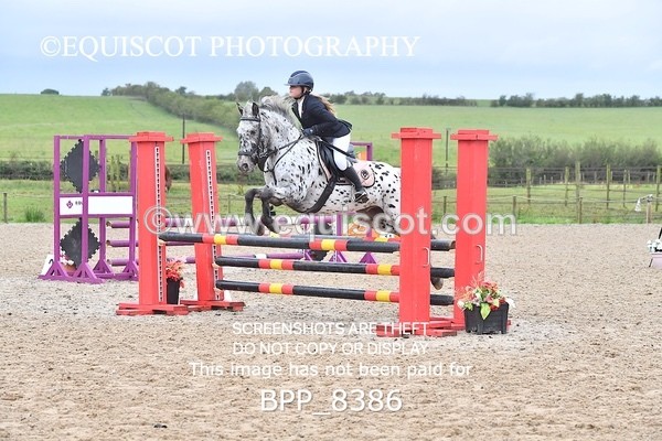 BPP_8386 - CLASS 3 Pony BritiNovice / 0.80m Open