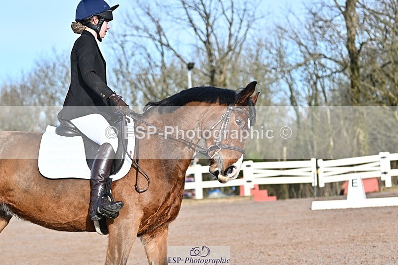 250125-104021-00209 - Dressage - CT Class 4 BE95 (80cm)