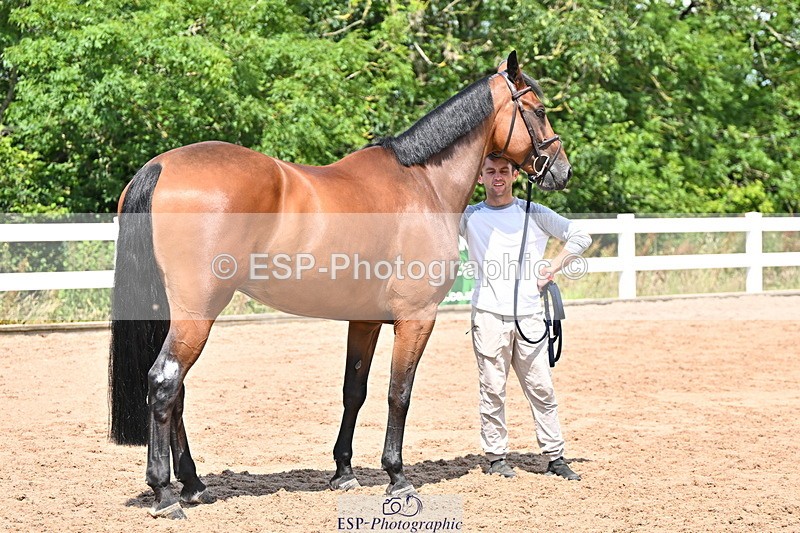 240718A-105243-01073 - Trot Up 12pm to 1pm