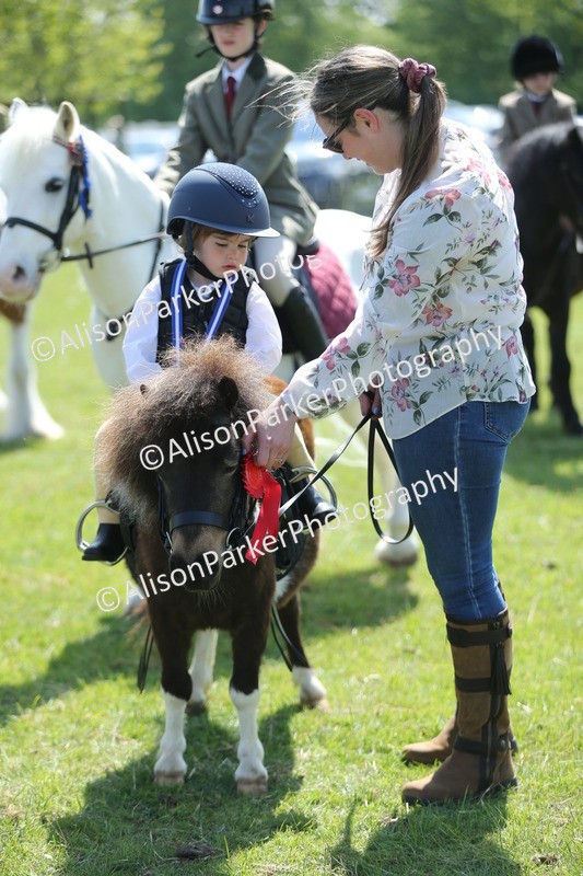 20250427-2747 - Class 6 - Pony Judge Would Most Like To Take Home