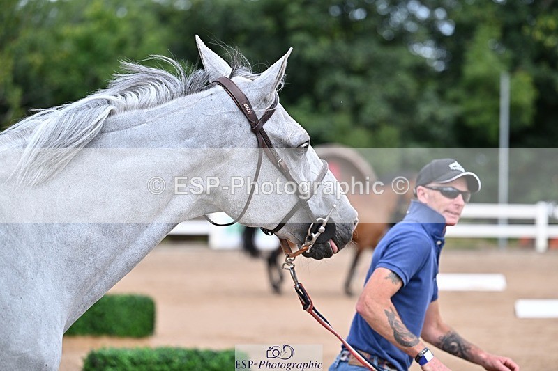 250716-131158-00392 - Trot Up 12.30 to 1.30