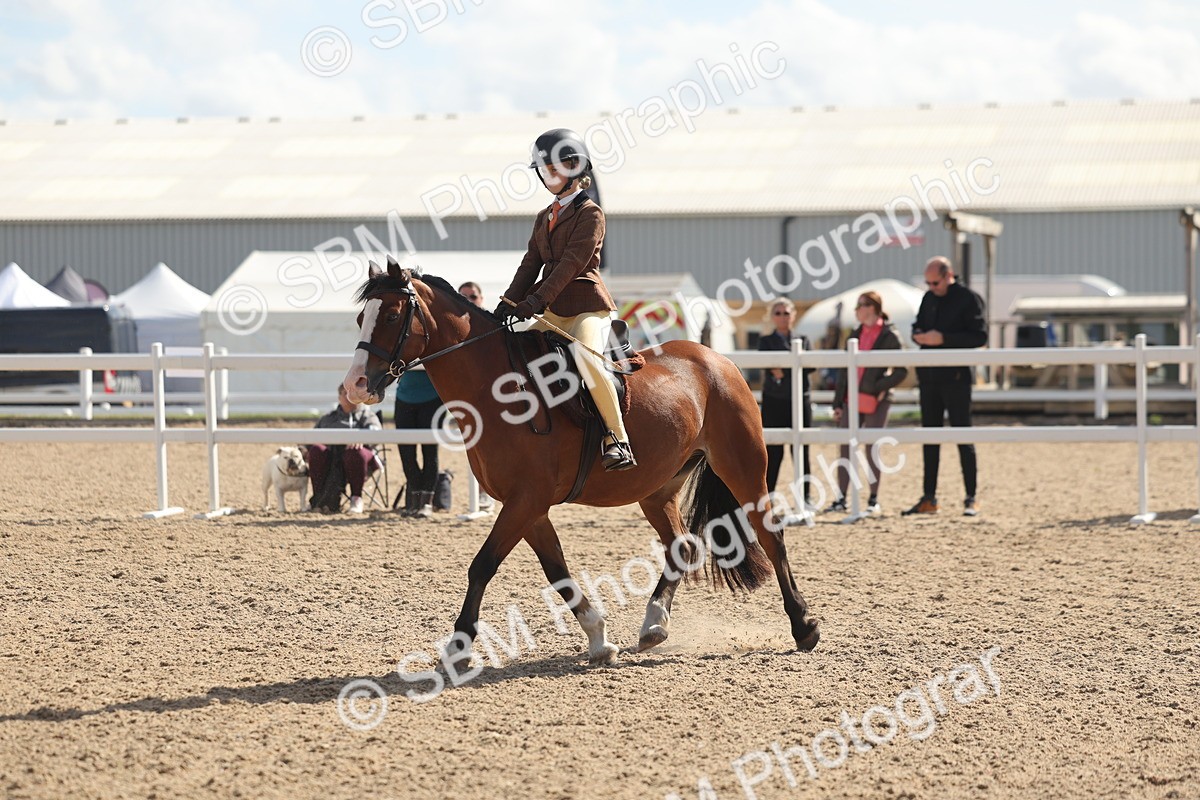 SBM_23103 - Class 806 - Young Rider 10ry and Under