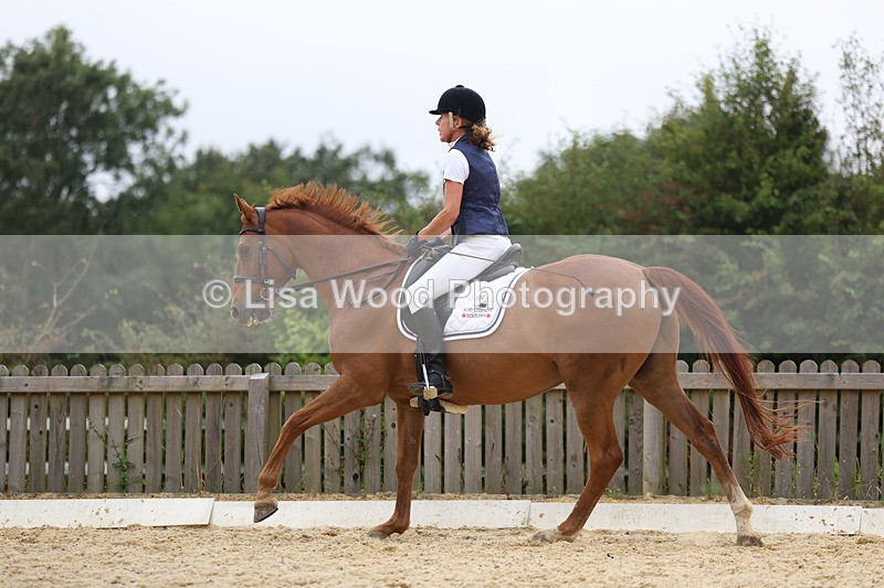 3E7A7457 - Class 9: Elementary 4 2024 - No sections