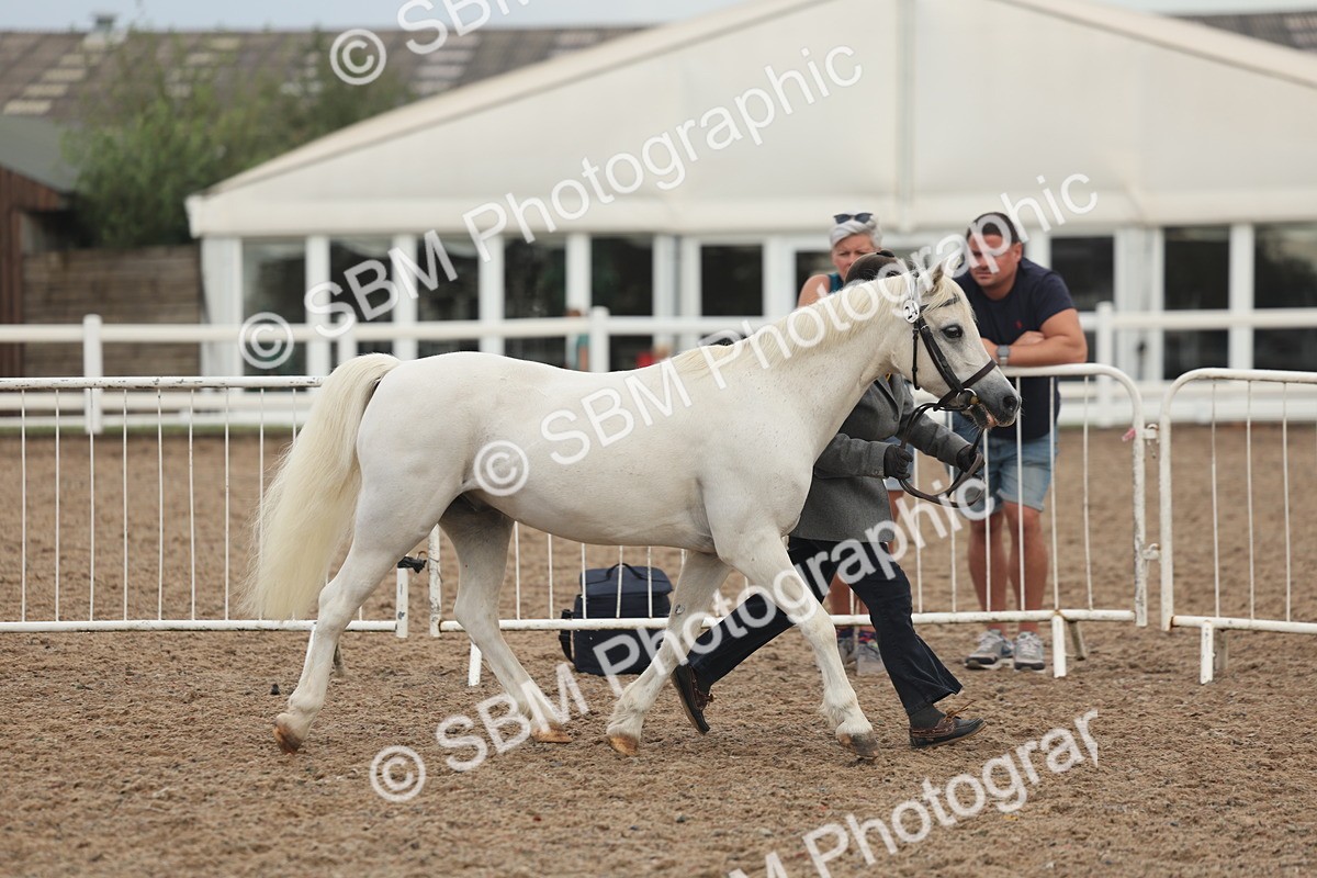SBM_08493 - Class 29 - IH Veteran Pony