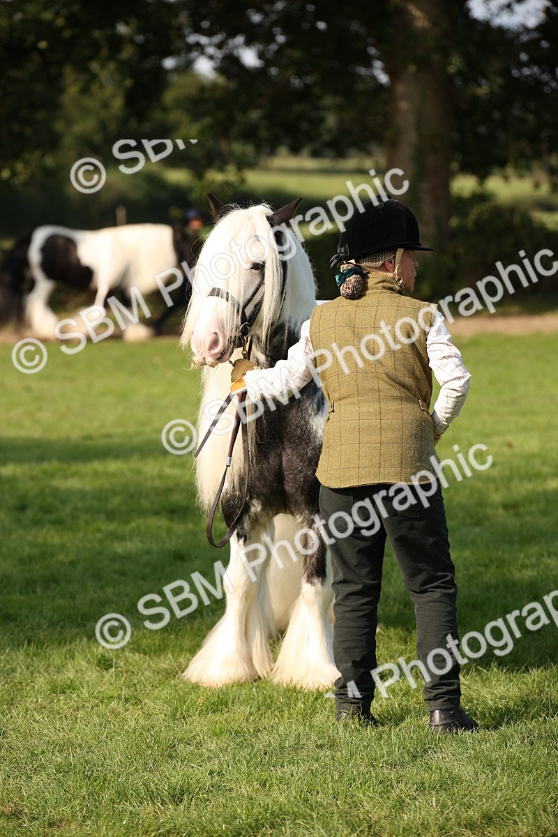 SBM_62219 - S55 - Traditional Cob In Hand