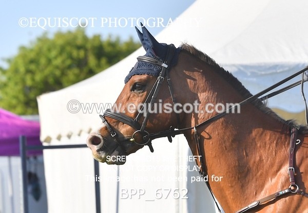 BPP_6762 - CLASS 1 Senior Newcomers/ 1.10m Open