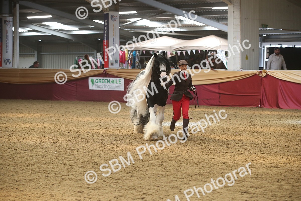 SBM_05607 - Class 9R - Regional IH Pre-Vet