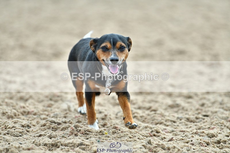 230609A-174321-01938 - Jolly Jumps Ride and Run