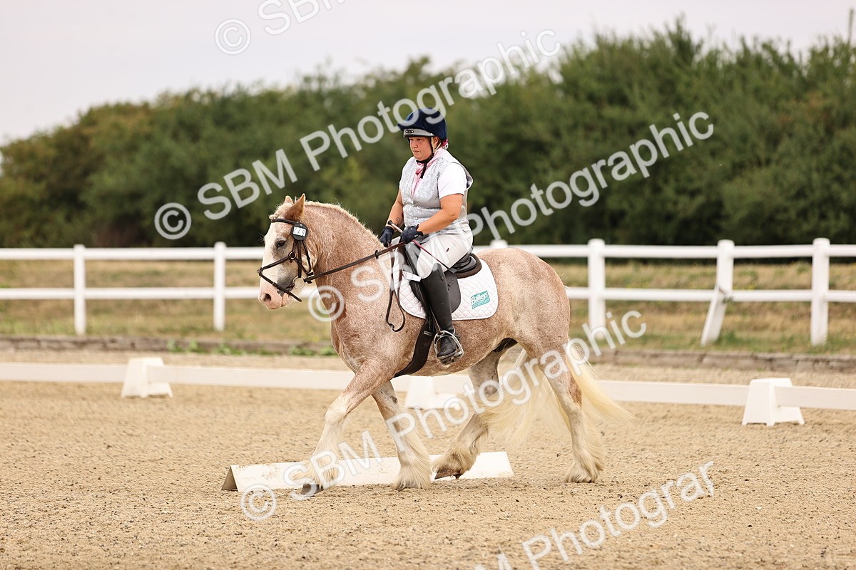 SBM_006425 - Intro 3 - 9.46-10.46