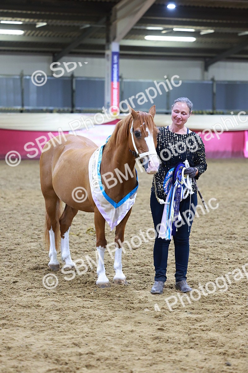 SBM_15297 - Class P - M&M Champ
