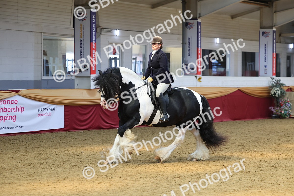 SBM_24113 - Class 905 - Supreme Final - Ridden Veteran