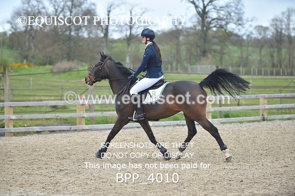 BPP_4010 - CLASS 4 Senior Newcomers/ 1.10m Open