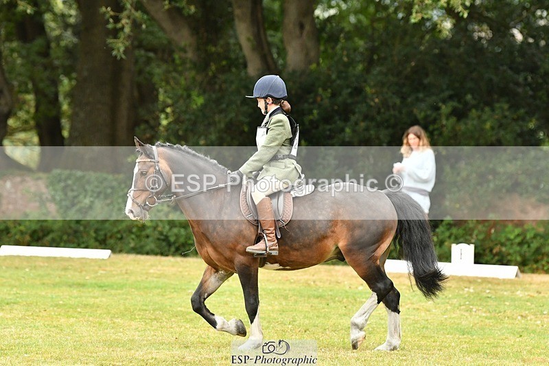 250820A-111250-04934 - 11am to 12