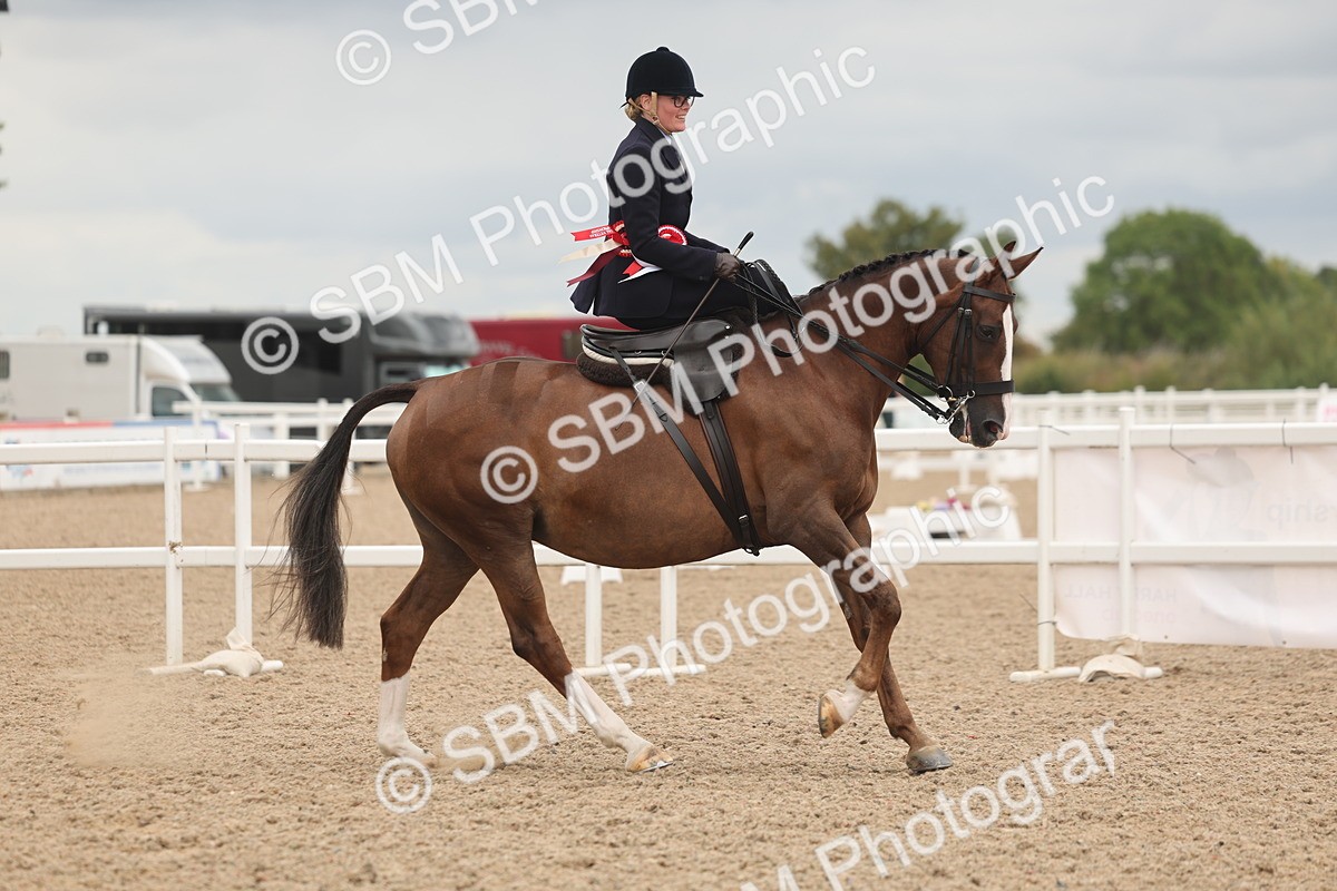 SBM_06395 - Class 23 - SSA - Classical