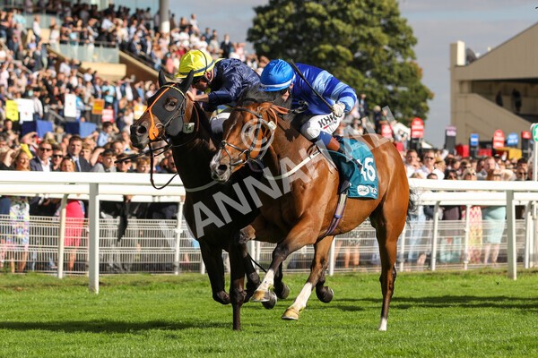 yr19082022r7-28 - Race 7 5.20pm Sky Bet Mile Stakes