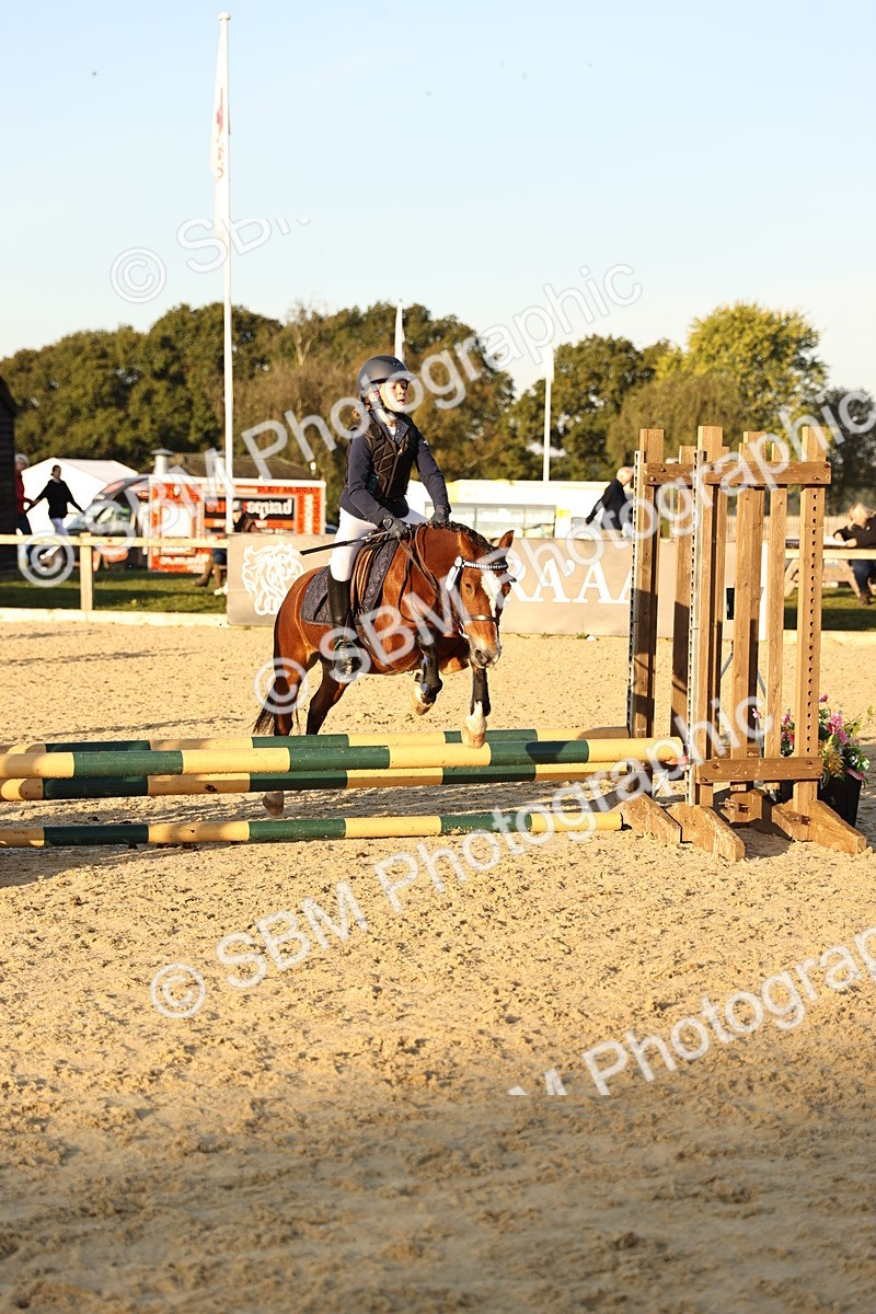 SBM_57099 - J11 - Junior Pony 50cm Championship