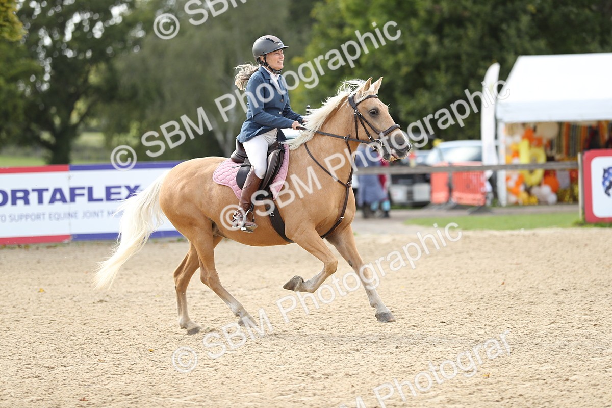 SBM_08444 - J30 - Senior Horse & Pony 70cm Championship