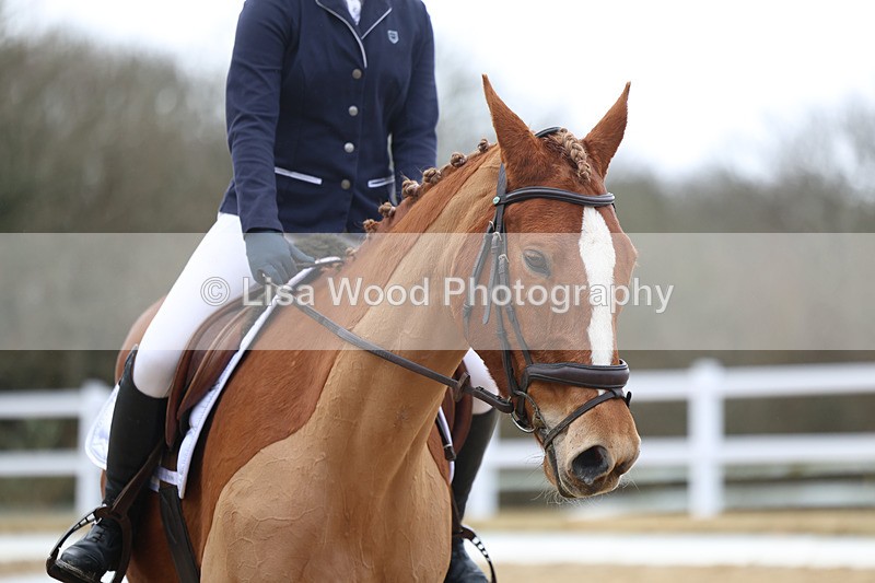 3E7A9528 - Class 2: Intro 1 2024 sec B - part two