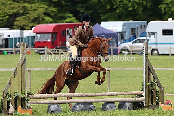 IMG_2964 - Working Hunter
