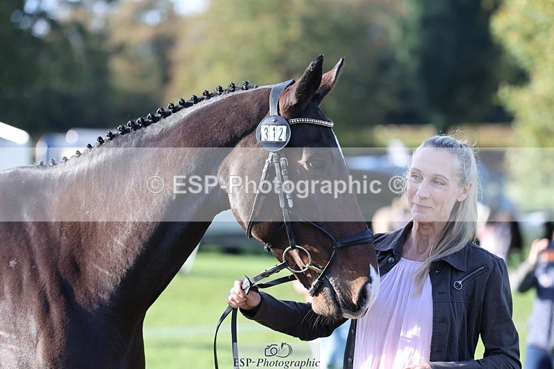 241027-093320-15351 - 312-Charlotte.Bradbury-KENSINGTON.EMPIRE