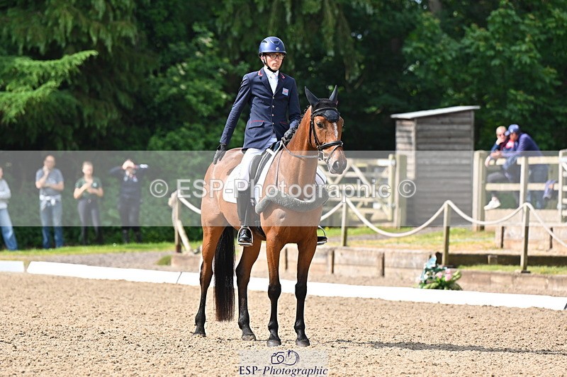 250523A-094308-05327 - C-258-Bill.Levett-ITALIAN.HARLEQUIN.NJ